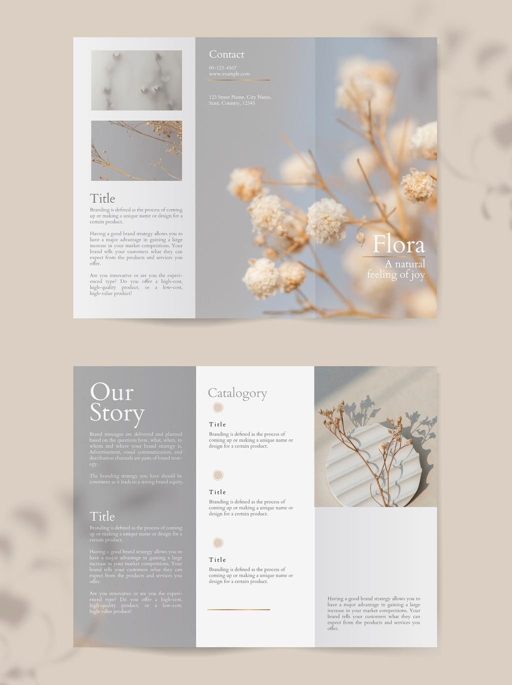 Marketing & Print Materials - Brochures sample 6